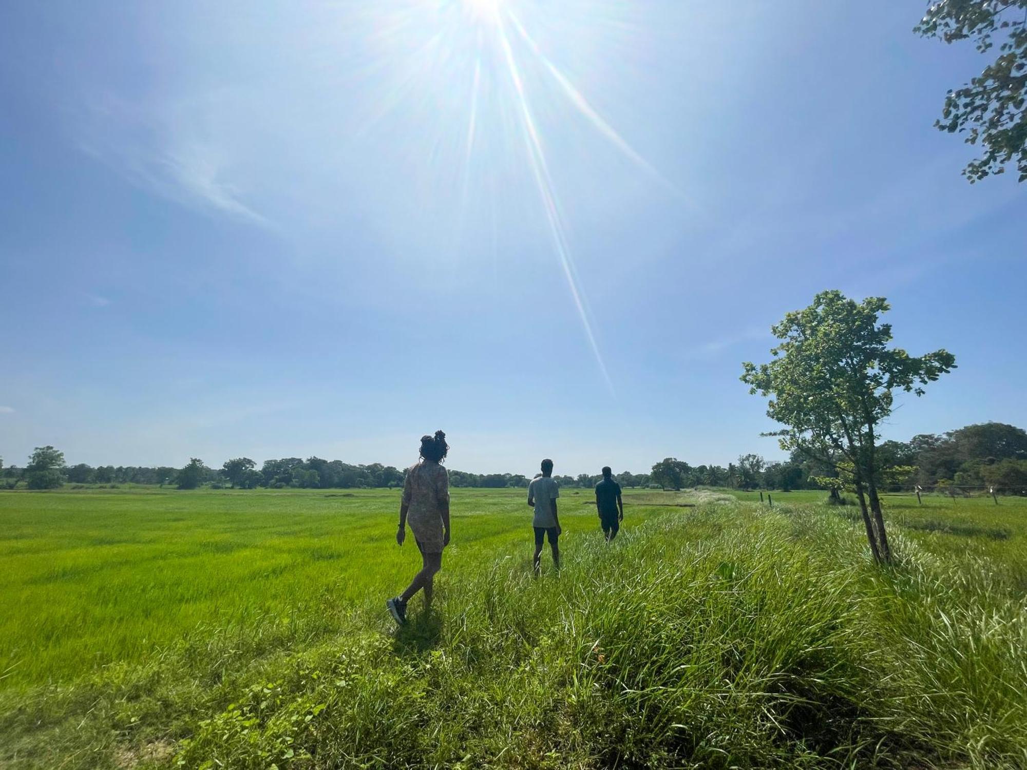 Sahana Retreat Buttala Bagian luar foto