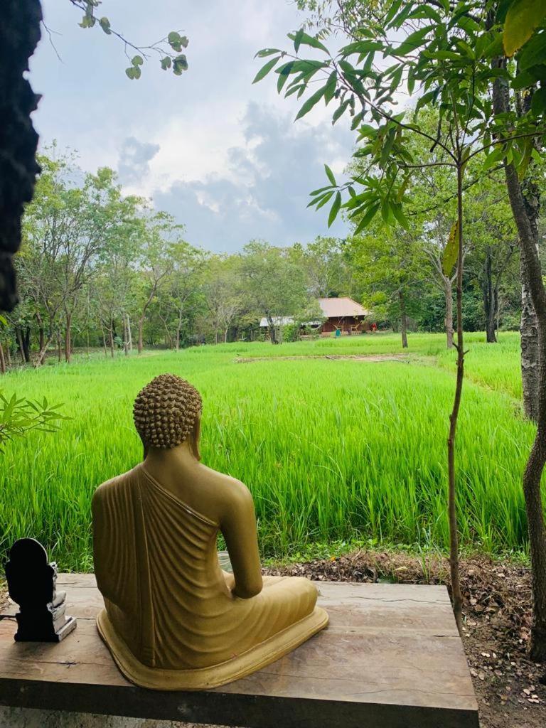 Sahana Retreat Buttala Bagian luar foto