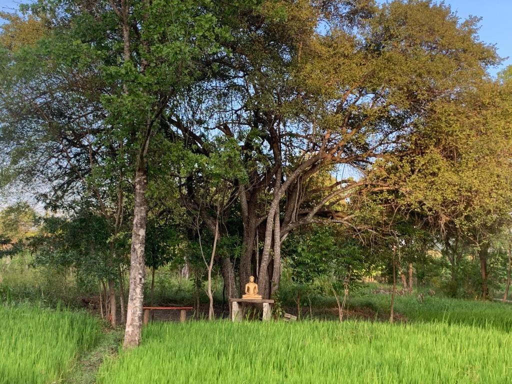 Sahana Retreat Buttala Bagian luar foto