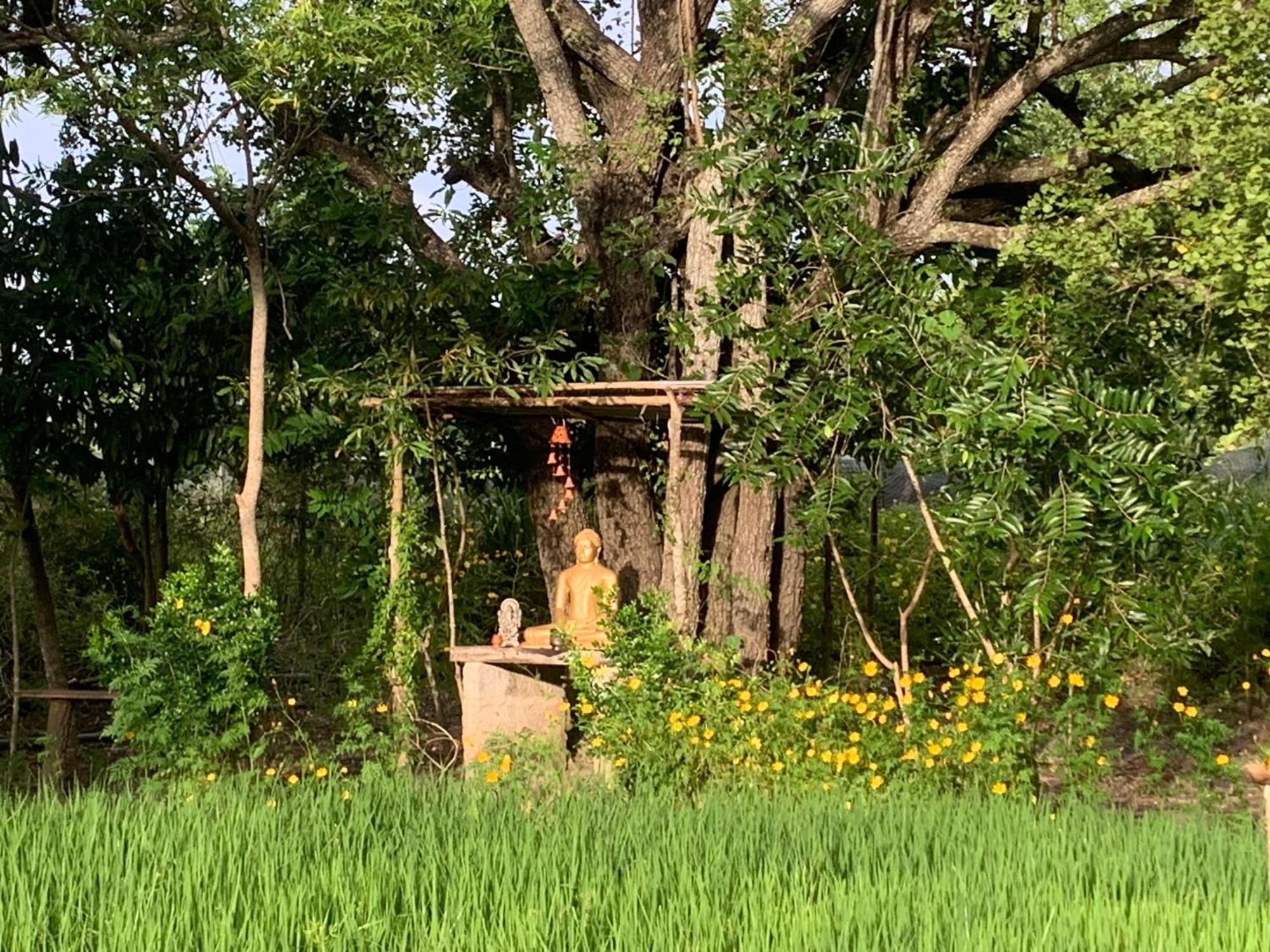 Sahana Retreat Buttala Bagian luar foto