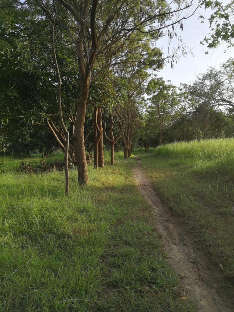 Sahana Retreat Buttala Bagian luar foto