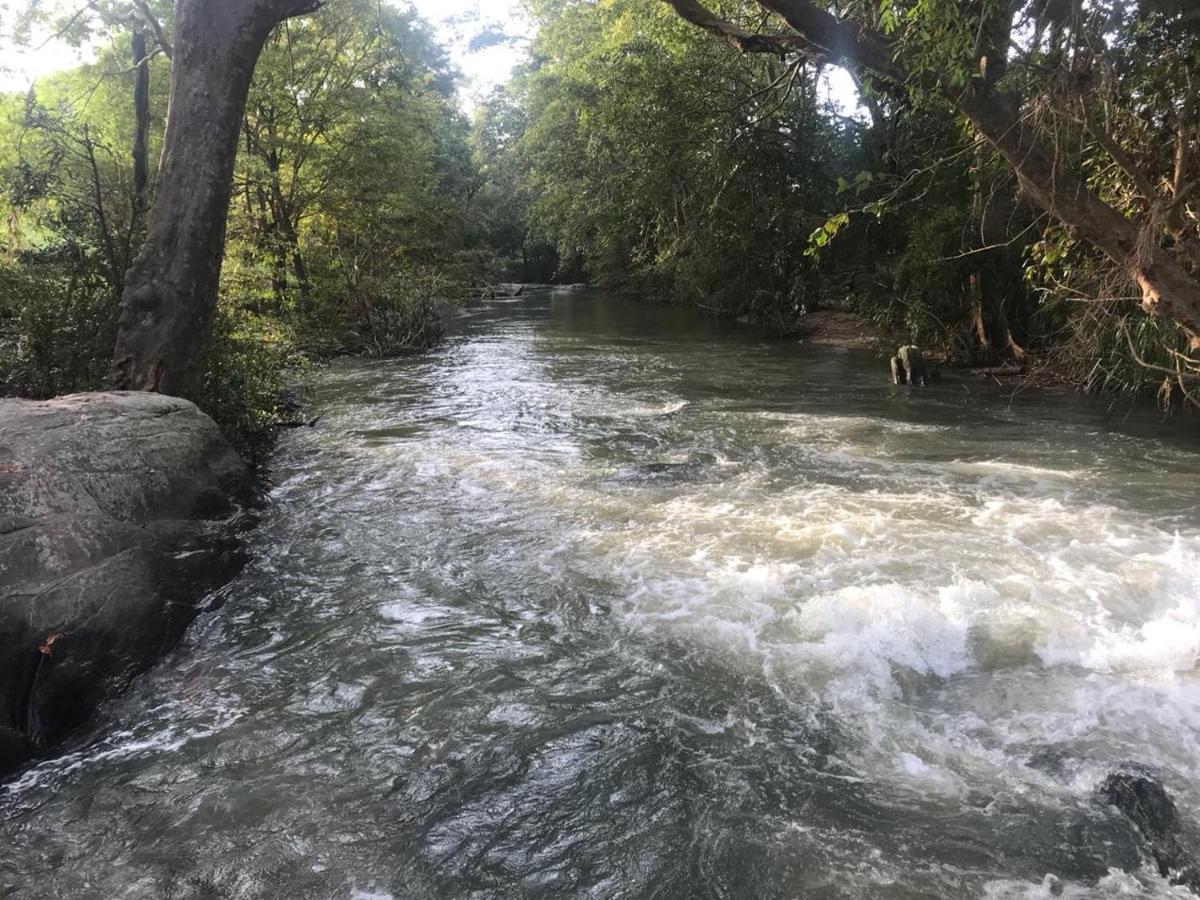 Sahana Retreat Buttala Bagian luar foto